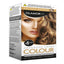 GLAMORIZE GOLDEN BROWN HAIR DYE NO. 6 1s