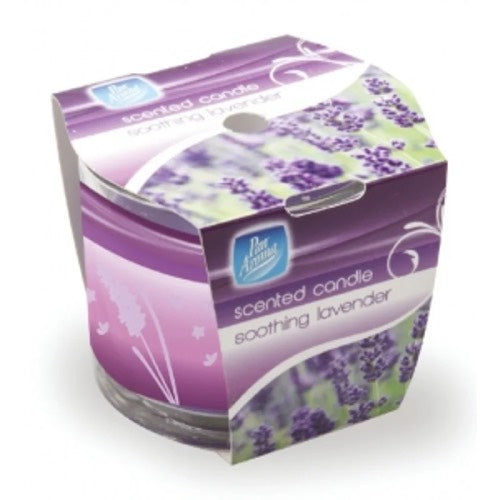 PAN AROMA STRAIGHT EDGE LAVENDER CANDLE 12s