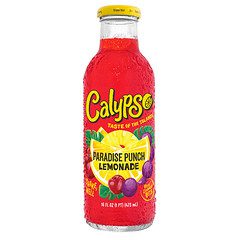 Calypso Paradise Punch 473ml 12 Pack