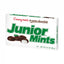 Junior mint Chocolate 12x99g