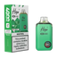 Higo BB 4000 Kit - Menthol